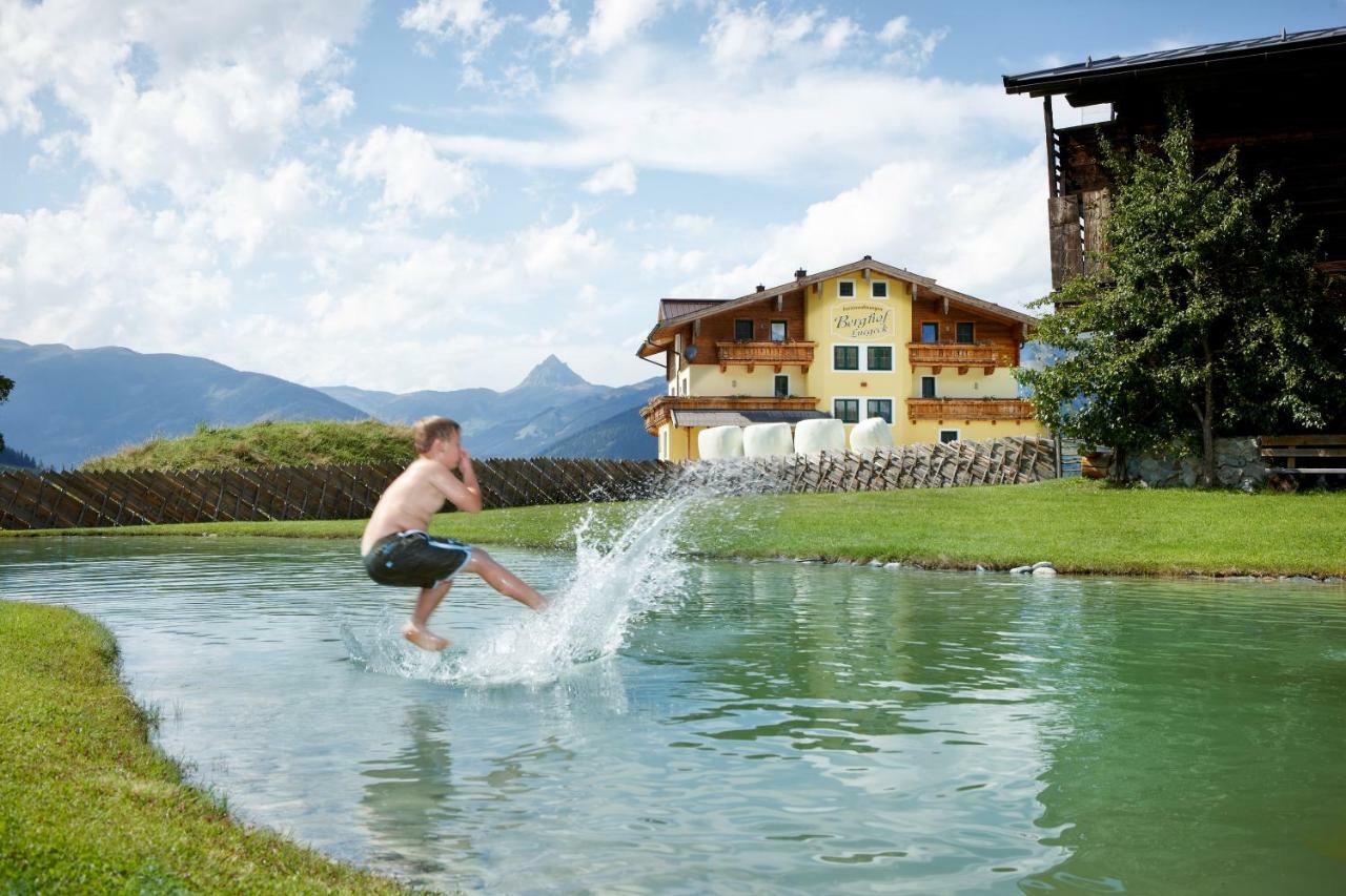 Appartements Luegeck Hollersbach im Pinzgau Εξωτερικό φωτογραφία